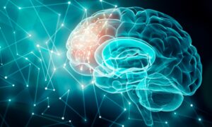 PRP Boosts Inter-Campus Collaboration on Brain Research