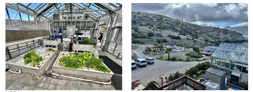 Aquaponics at Catalina