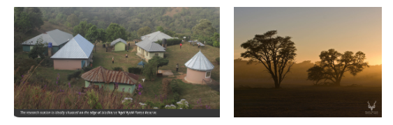 Rural and National Parks